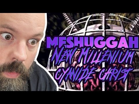 STRAIGHT PUNCH IN THE FACE! Meshuggah "New Millennium Cyanide Christ"