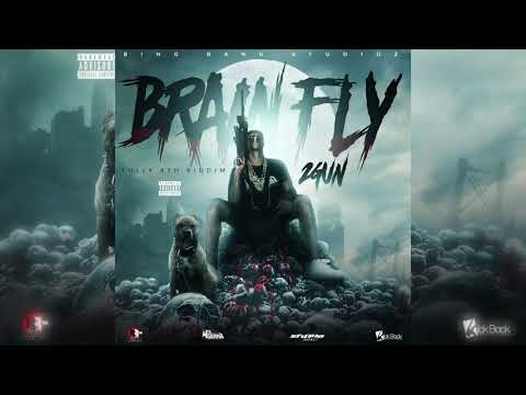 2 Gun4thGenna - Brain Fly (Fully4th Riddim)