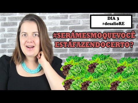 Escolhas video