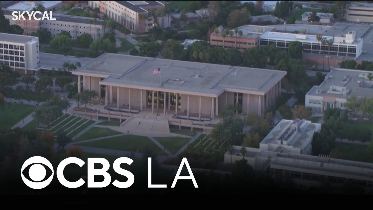 CSUN University Library | Look At This!