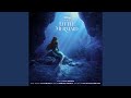 Vanessa S Trick