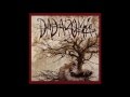 DADAROMA - Belka to Strelka 