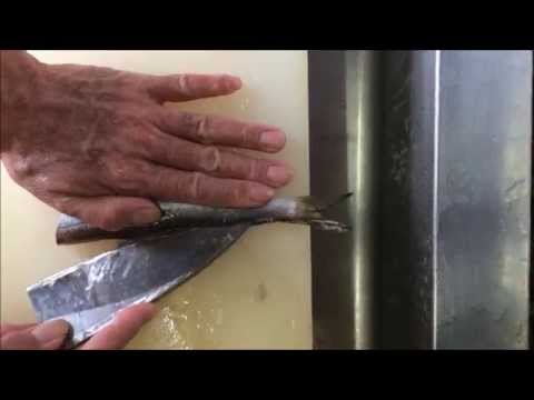 カマス刺身の作り方。無駄なしまかない道場