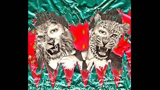 Lions & Cheetahs Music Video