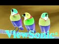 Random King Best Animation Logos G Major