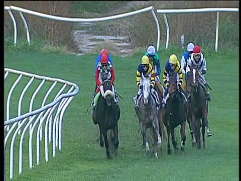 Galoppo 08/11/2017 - 3ª corsa