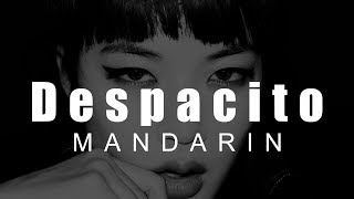 Despacito - Mandarin w&#39; Pinyin English Lyrics [LyricLaoshi]