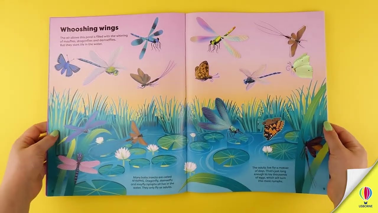 Big Sticker Book Bugs