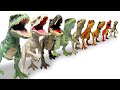 HUGE T Rex Collection Showcase BIGGEST To Smallest T Rex Indominus Rex Giganotosauruses More