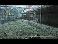 Some Editing Effects In Pro Vegas 9