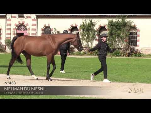 MELMAN DU MESNIL
