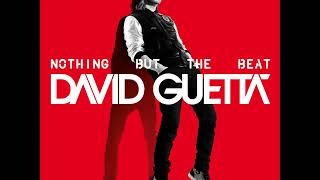 David Guetta ft. Will I Am - Nothing Really Matters + Lyrics