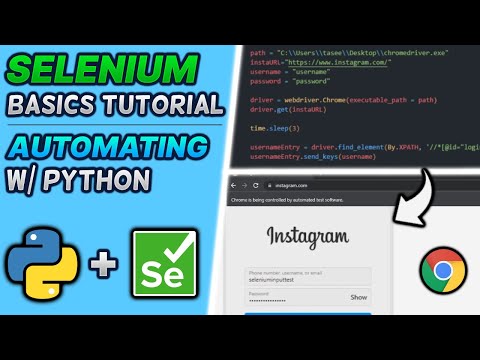 Selenium Basics Tutorial | Python Automation For Beginners | Browser Web Scraping + Input Submission