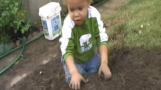 Children Play With Earth