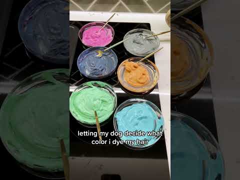 i let my dog decide my hair color #shorts