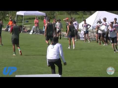 Pro-Elite Challenge 2019: Mixed Highlights