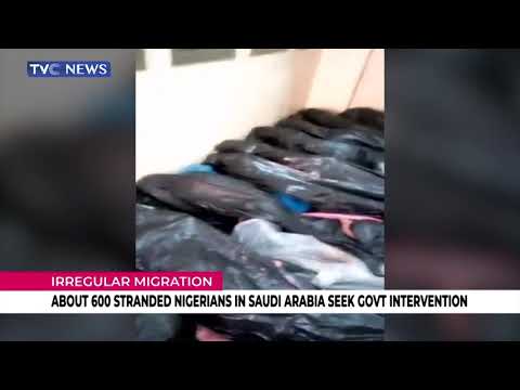 About 600 Nigerians Stranded In Saudi Seek FG's Intervention