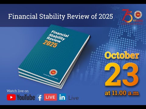Financial Stability Review of 2025