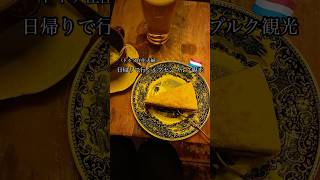 ルクセンブルク日帰り観光🇱🇺 ドイツは日曜日はあらゆる場所が閉まるので隣国にいくのあるある #ルクセンブルク #ヨーロッパ旅行 #ヨーロッパ生活 #ドイツ生活