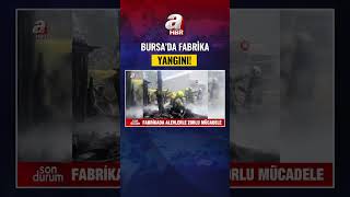 Bursa'da plastik boru deposunda yangın: Siyah duman gökyüzünü kapladı | A Haber