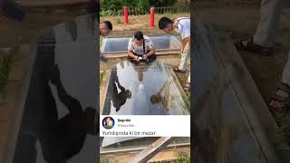 Download lagu Yurtdışında bulunan bir mezar #mezar mp3 Download lagu Yurtdışında bulunan bir mezar #mezar mp3