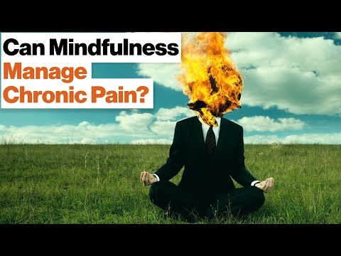 How Meditation Can Manage Chronic Pain and Stress | Daniel Goleman | Big Think