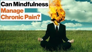 How Meditation Can Manage Chronic Pain and Stress | Daniel Goleman