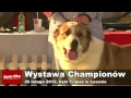 Wideo: Wystawa Championw 2012