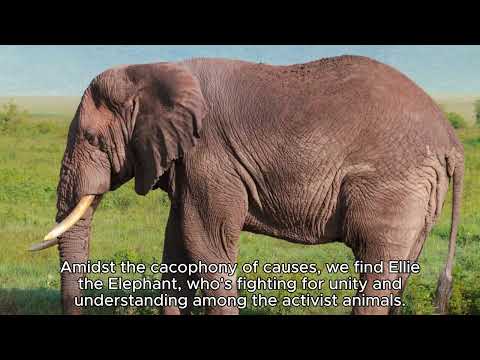 The Activist Zoo: Where Advocacy Meets Absurdity