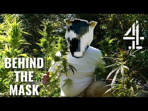 我在別人的土地上種植大麻 - 面具的背後 (I Grow Cannabis On Other People’s Land | Behind The Mask)