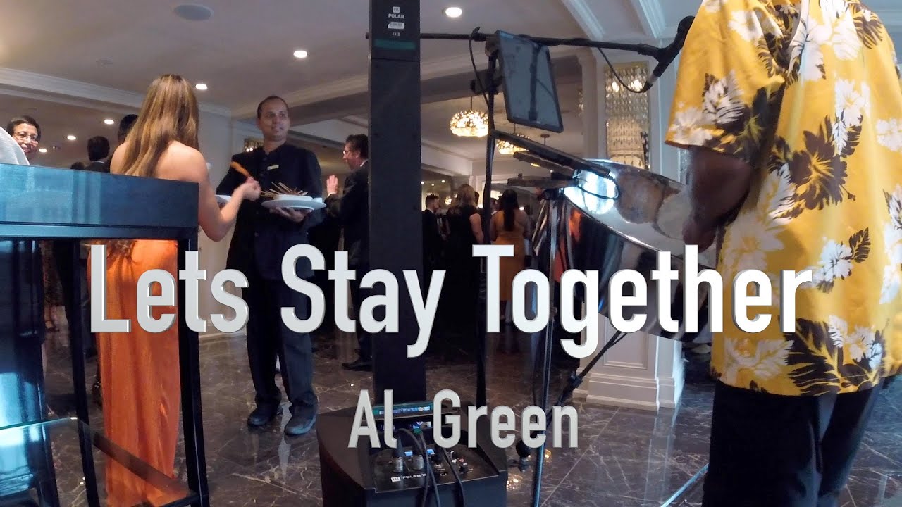 Hire Steeldrum Hu Steel Drum Player in Barrie, Ontario