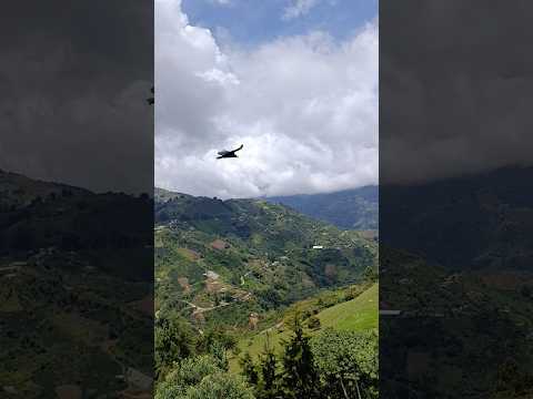 Al final del video se observa la colina más alta, allí el municipio de Monte Bello Antioquia