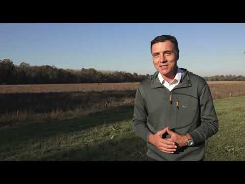 Agro karavan ep. 409 - Kupinovo, Pećinci - 16.11.2025.