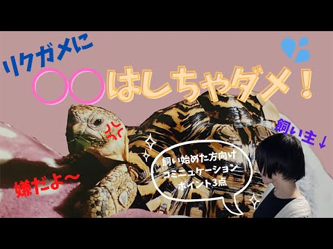 IUCN分類における絶滅の危険性を示す図。