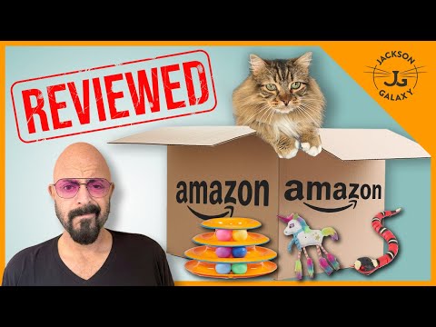 Cat Expert Reviews Bestselling Cat Toys on Amazon