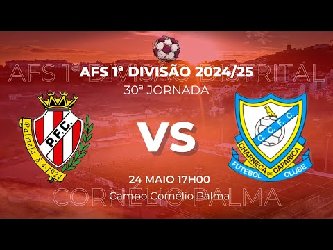 PALMELENSE - CHARNECA CAPARICA | 30ª JORNADA - AFS 1ª DIVISÃO 2024/25