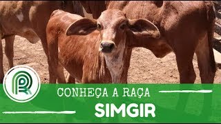 Miniatura do vídeo