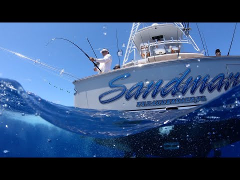 Blue Marlin and big Mahi in Dominican Republic Uncharted Waters Video