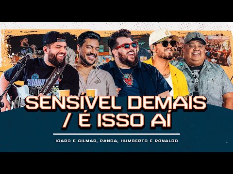 Sensível Demais / É Isso Aí - Humberto e Ronaldo,Ícaro e Gilmar,Panda [DVD Cê tá doido]
