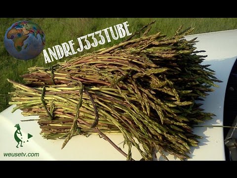 Giunti crackle non hanno abbastanza vitamine Come mettere in atto della spalla