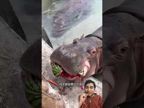 aç ağzını yakala 😇