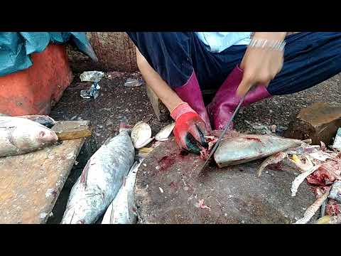 kakan fish cutting