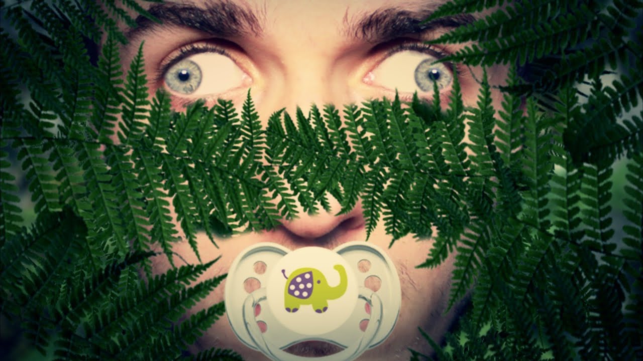 LA FEMME FOUGÈRE EST LÀ ! - Among The Sleep (2) thumbnail