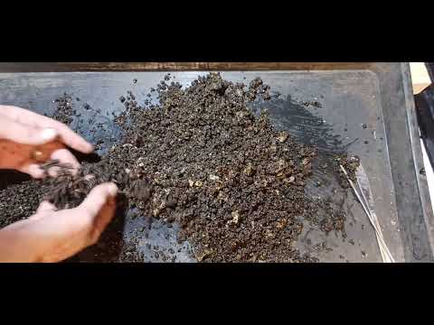 First breeder bin reset