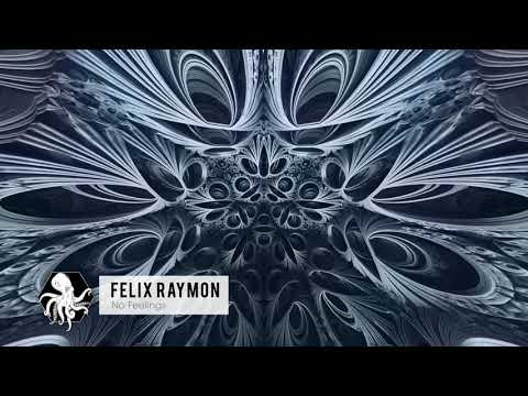 Felix Raymon - No Feelings