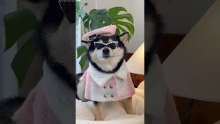 Download lagu Manyu | An Immersive Day in the Life of a Female Celebrity | Season 2 mp3