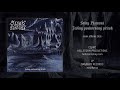 Stíny Plamenů - Jediný poskvrněný přítok (Full Album) 2021