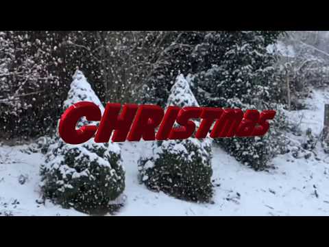 Merry Bloomin' Christmas