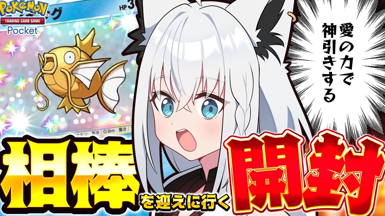 【ポケポケ】金コイある所に我はあり！推しのコイある所に白上あり！いでよ！金コイキング！！【白上フブキ/ホロライブ】