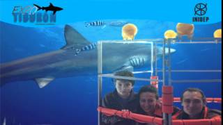 DIA 3 Expo Tiburon79